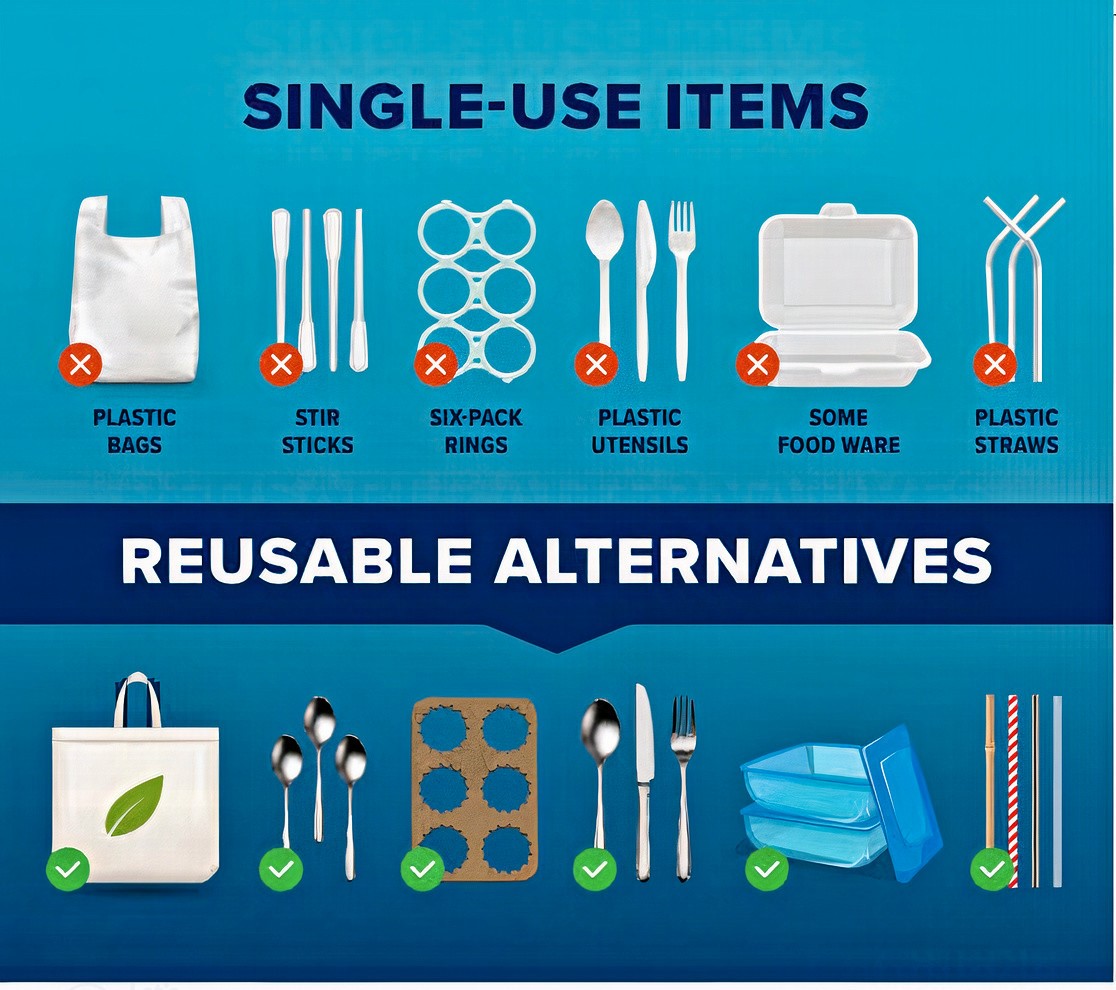 Single-Use vs Reusable Alternatives